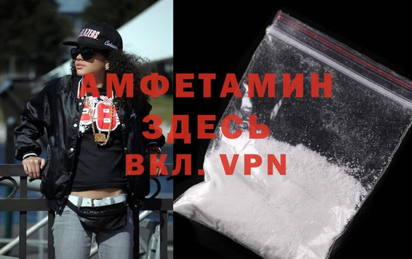 крисы Алзамай
