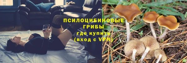 крисы Алзамай