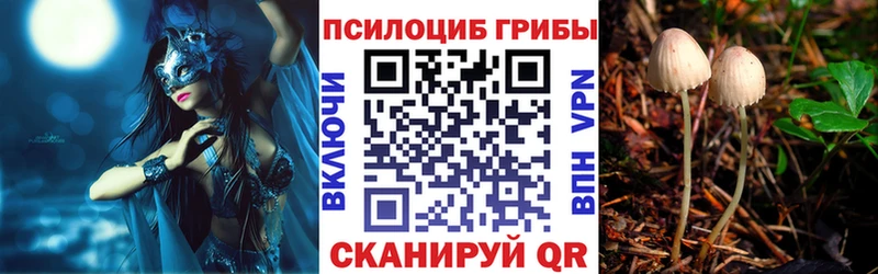 Купить где  Ильский  Галлюциногенные грибы прущие грибы 