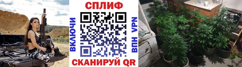 Канабис VHQ  Купить  Ильский 